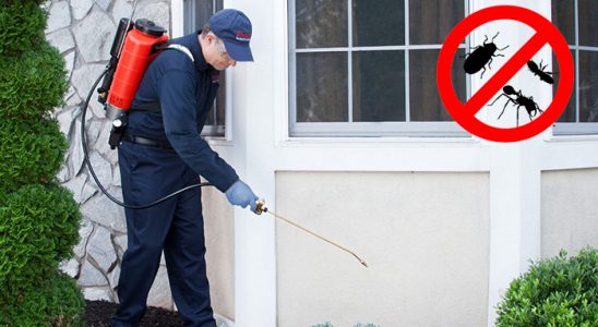 Kaynaşlı Gümüşkurt İlaçlama böcek ilaçlama ve haşere kontrolü — ilaclama-tr.com